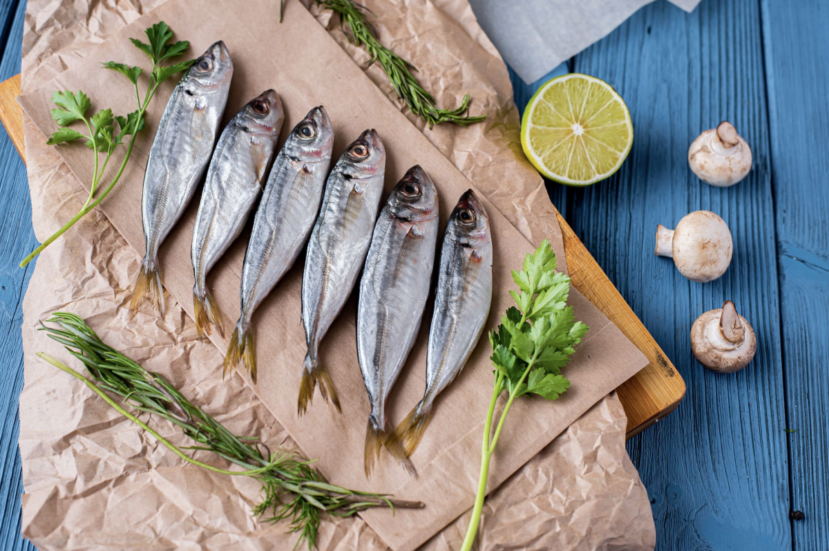 Manfaat Ikan Kembung bagi Kesehatan